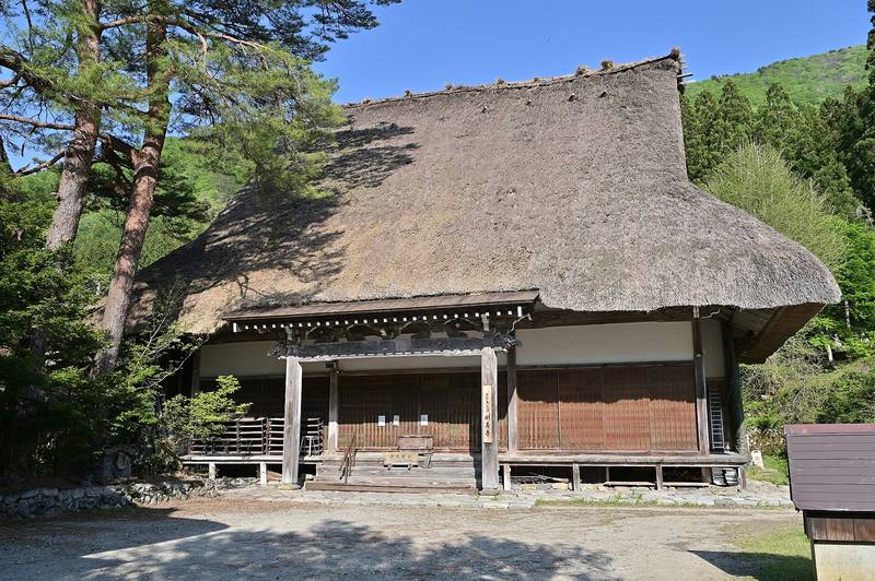 大きな茅葺き屋根の明善寺本堂と境内の松