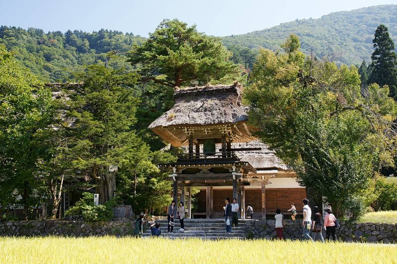 夏の田んぼの向こうに建つ茅葺きの鐘楼門